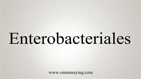 How To Say Enterobacteriales .